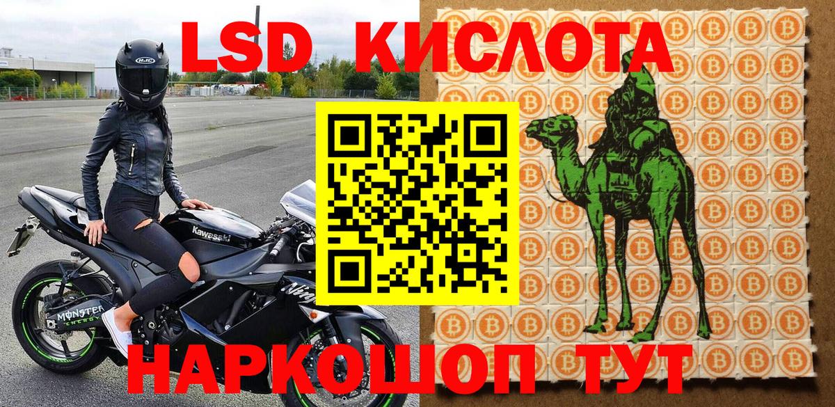 Сухой Лог  Наркотические марки 1500мкг  Вход с VPN  Наркотические марки 1500мкг 
