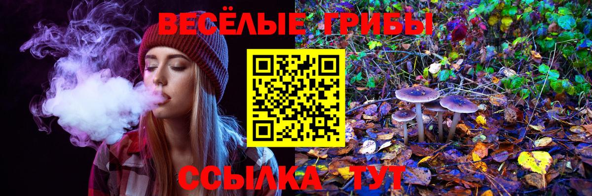 Галлюциногенные грибы GOLDEN TEACHER  Вход с VPN  Сухой Лог 